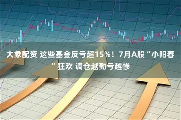 大象配资 这些基金反亏超15%！7月A股“小阳春”狂欢 调仓越勤亏越惨