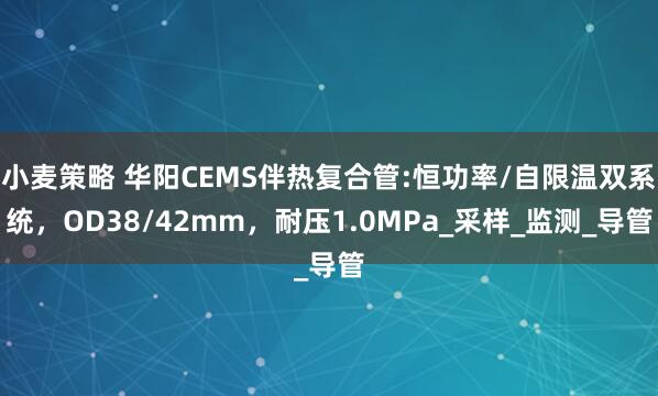 小麦策略 华阳CEMS伴热复合管:恒功率/自限温双系统，OD38/42mm，耐压1.0MPa_采样_监测_导管