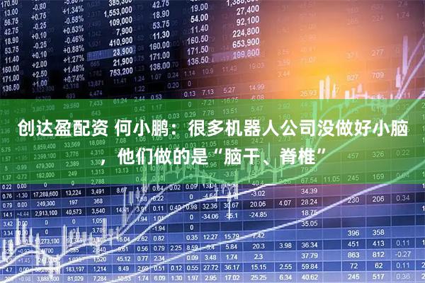创达盈配资 何小鹏：很多机器人公司没做好小脑，他们做的是“脑干、脊椎”